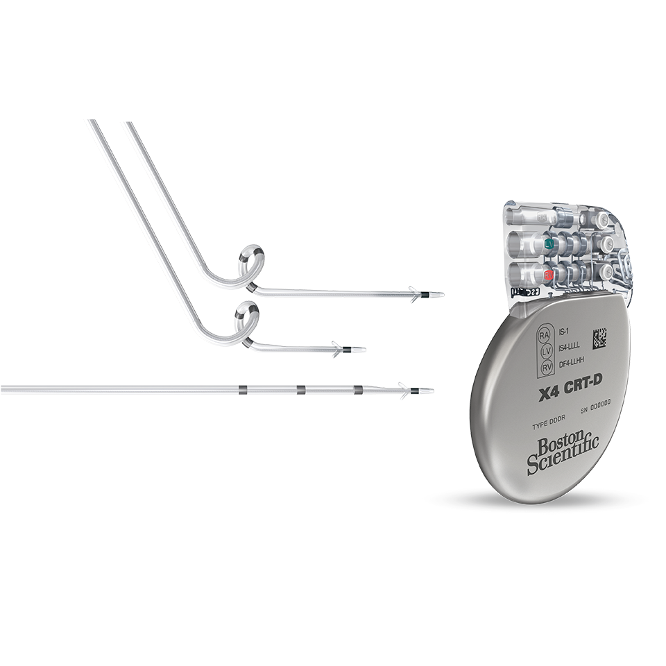 Electrophysiology Products Boston Scientific